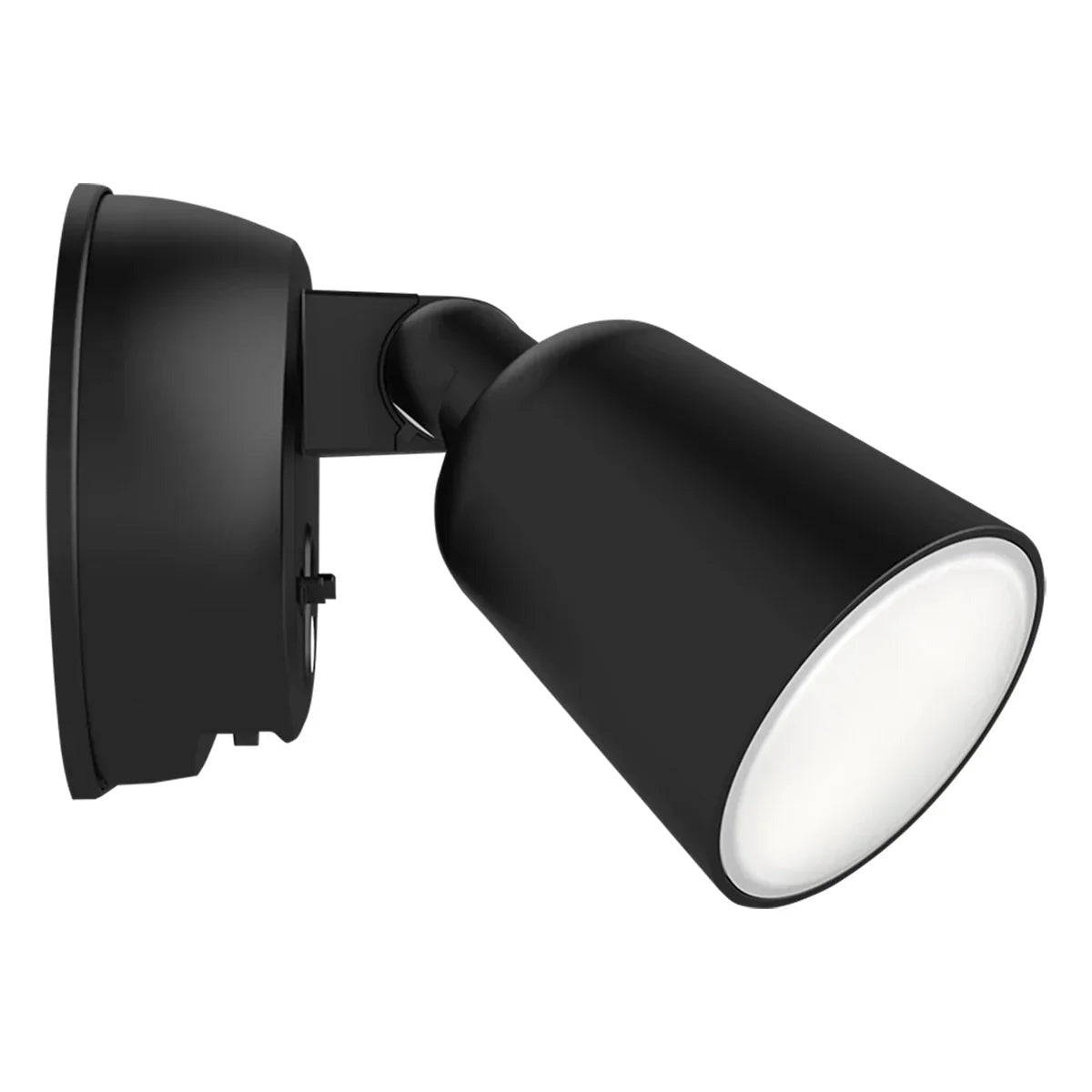 RAB LIGHTING Rab Lighting L2XB Luminator 20W Floodlight (120V)