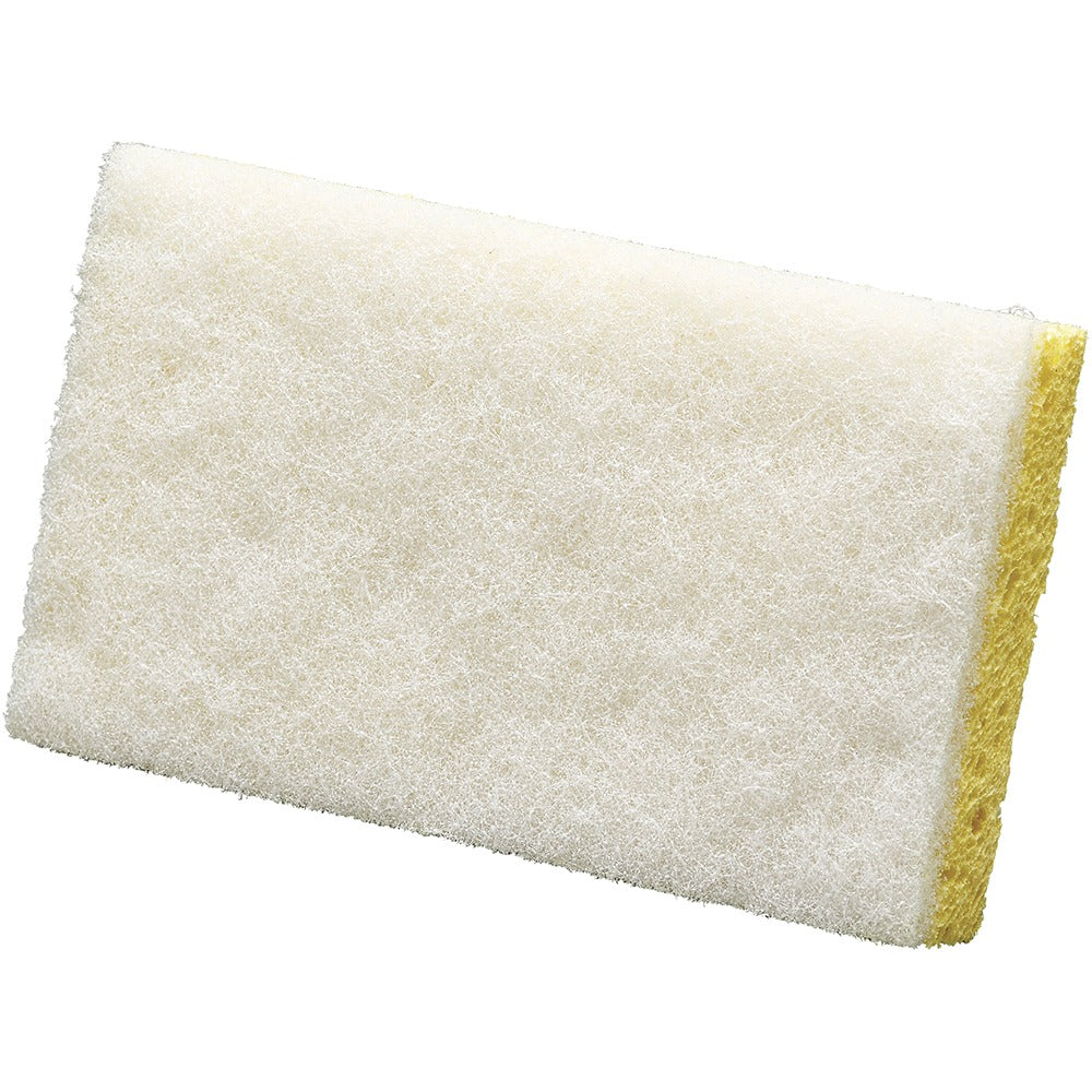 NORTON Norton 66261059402 Sanding Sponge 5.875x3.625x1 in