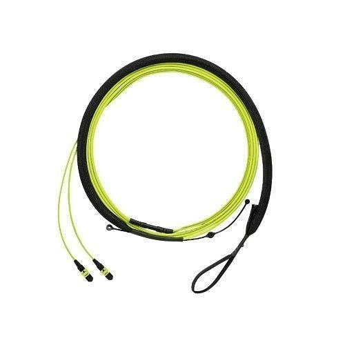 PANDUIT Panduit FWUYL7575LNM015 OM5 24-fiber Trunk Cable Lszh
