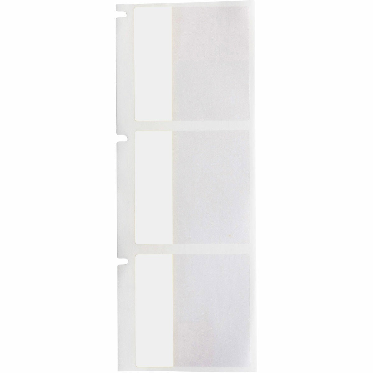 BRADY Brady PTL-32-427 Label Vinyl (1.5 in x 1.5 in, 250 per roll) PTL-32-427