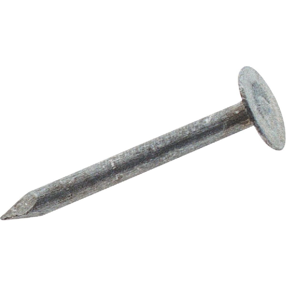 BSC PREFERRED Bsc Preferred 708354 Electrogalvanized Roofing Nails 1 Lb