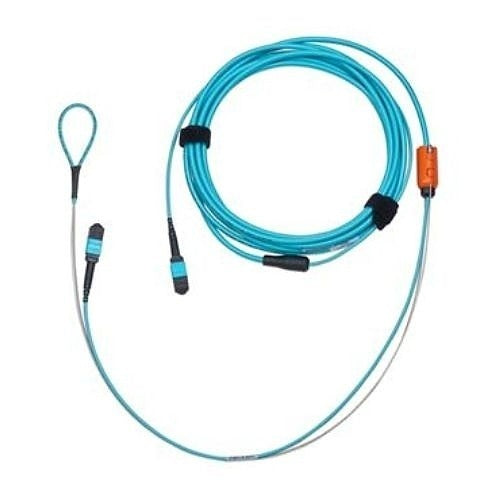 BELDEN Belden Inc. FM3MMB1007M OM3 Mpo 12-fiber Patch Cable