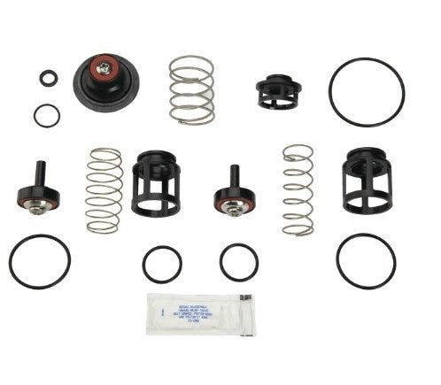 WATTS Watts RK 919-T Total Repair Kit (3/4 Inch) 0888168