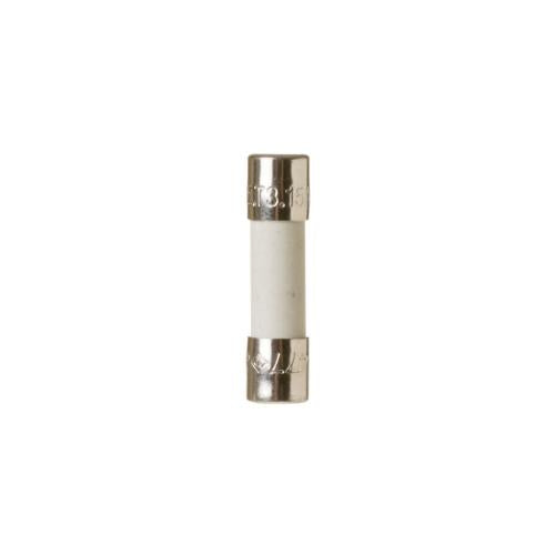 GENERAL ELECTRIC WP23X10032 FUSES