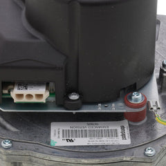 200886864.jpg