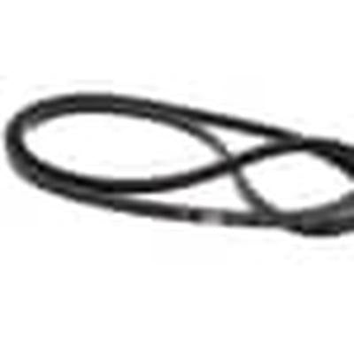 YORK S1-02818134000 BELTS