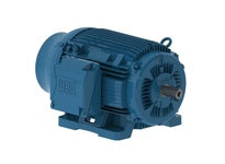 WEG 06018ET3E364T-W22 