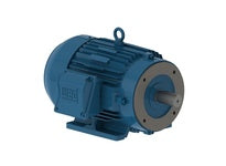 WEG 00318ET3ESS182TCFL 