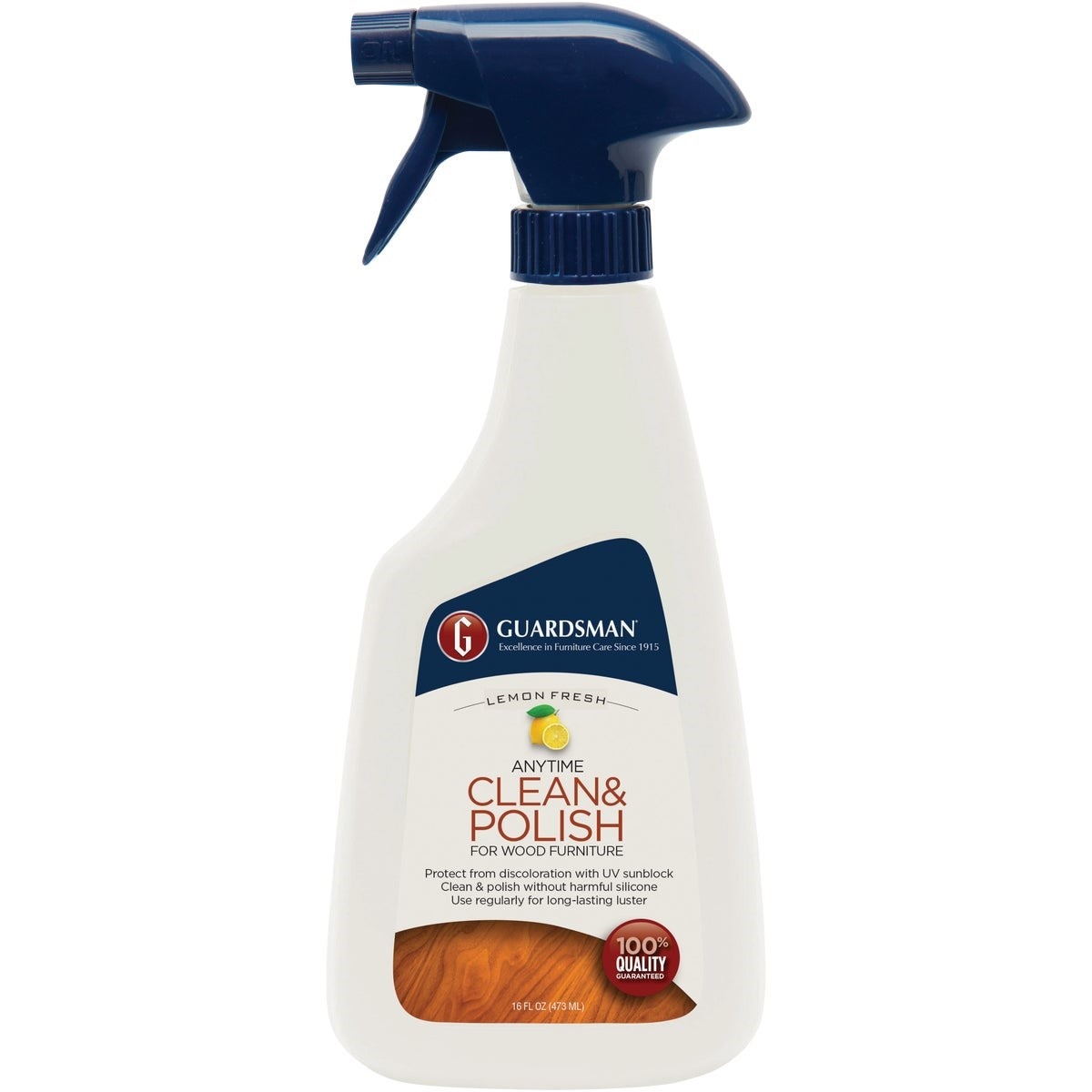 GUARDSMAN 461300 CHEMICALS AND CLEANERS