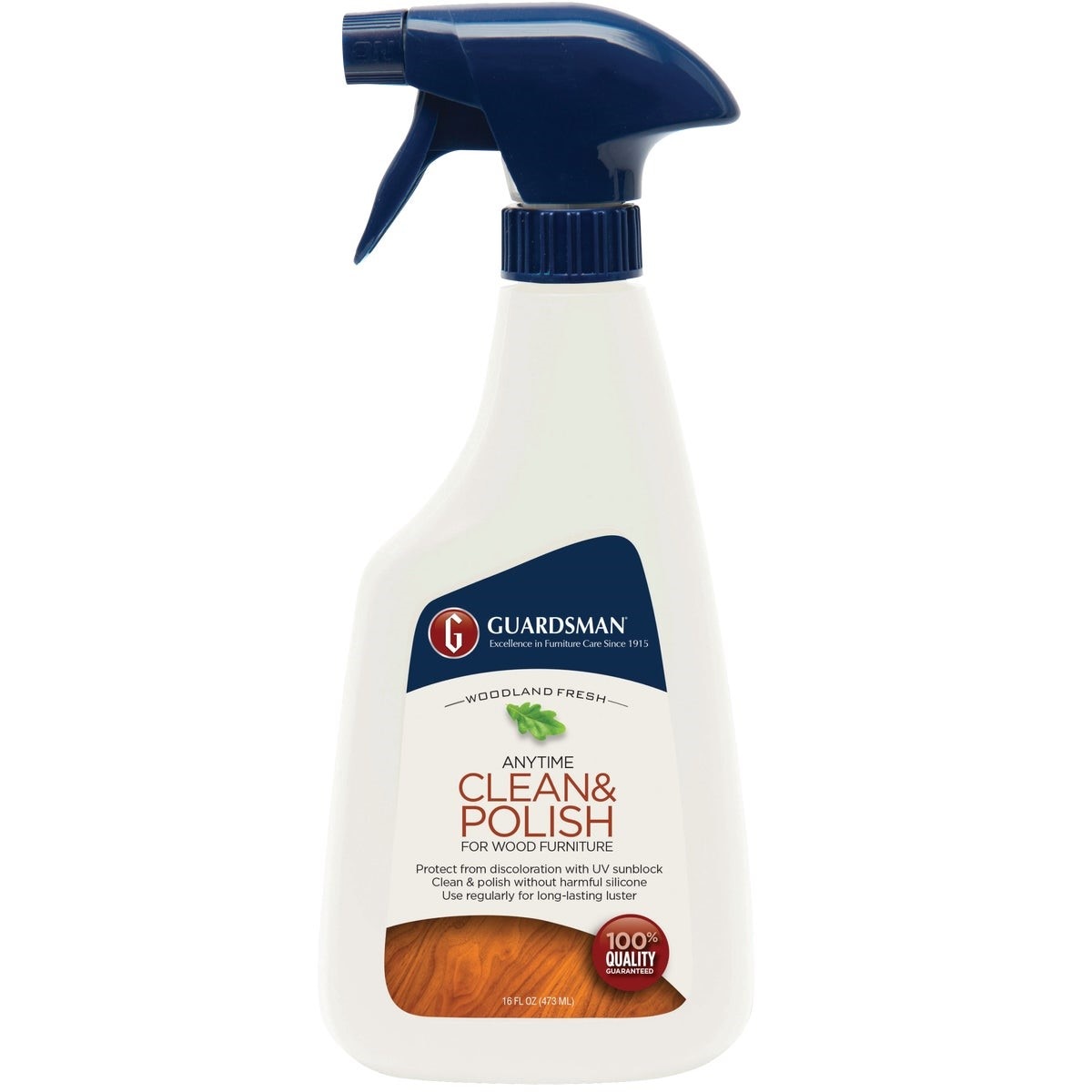 GUARDSMAN 461100 CHEMICALS AND CLEANERS