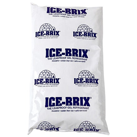 BSC PREFERRED Bsc Preferred IB24BPD Refrigerant Cold Packs Pack of 12