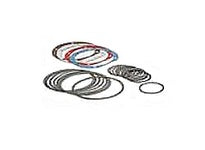 DODGE 334273 GAS VALVES