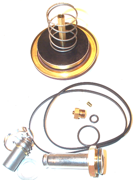 ASCO 304-395 VALVE REPAIR & REBUILD KITS