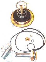 ASCO 304-395 VALVE REPAIR & REBUILD KITS