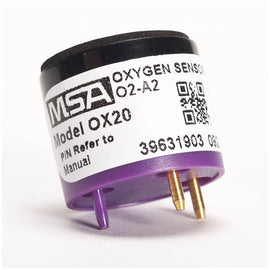 MSA SAFETY SALES 10089163 