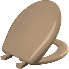 209705386.jpg