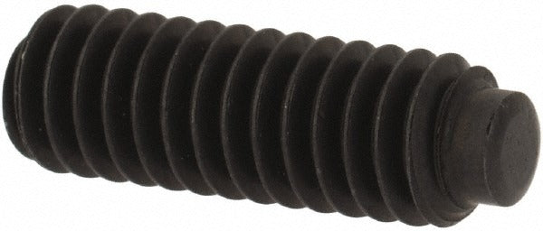 VALUE COLLECTION Value Collection 141031PR Set Screw 8-32 X 1/2 in Half Dog