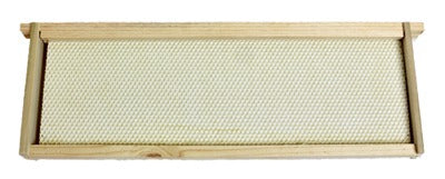 HARVEST LANE HONEY Harvest Lane Honey WWFFM-102 Medium Beehive Frame 10 Pack