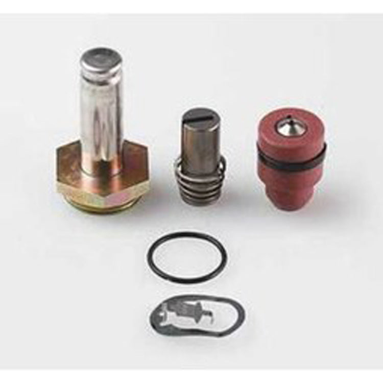 Asco 304035 Rebuild Kit 304035 for 8222 AC Valve