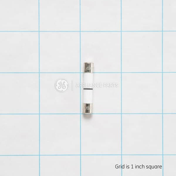 GENERAL ELECTRIC WB27X10928 FUSES
