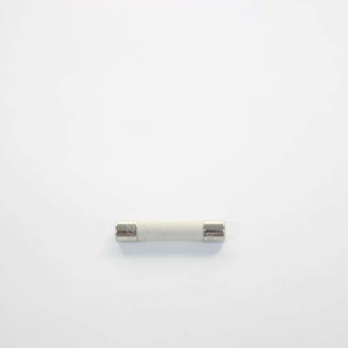 GENERAL ELECTRIC WE1X21975 FUSES
