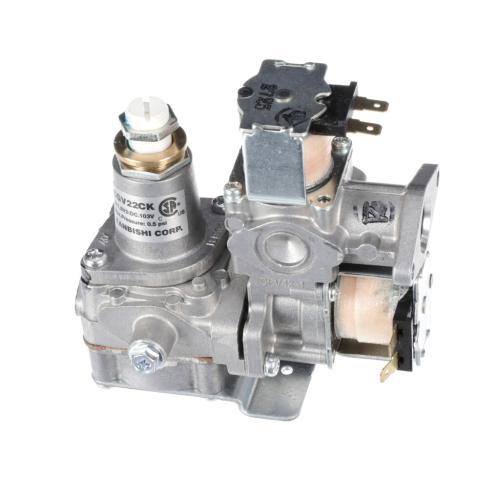 BERTAZZONI AGM30063309 VALVE REPAIR & REBUILD KITS