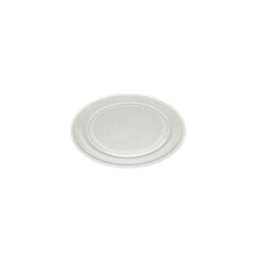SHARP NTNT-A150WREZ GAS VALVES