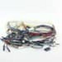 BLOMBERG 1739980100 WIRE CONNECTIONS