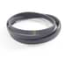 BLOMBERG 2005170400 BELTS