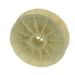 WHIRLPOOL WP21001108 MOTOR PULLEYS