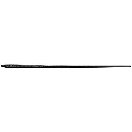 True Temper 1161400 Pinch Point Crowbar 48 in 10 lb