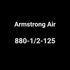 Armstrong International 880-1/2-125 Armstrong Trap 1/2 125