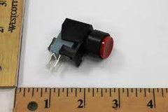 Raypak 005641F Momentary Switch