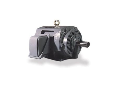 TECO Teco DHP7/52 Premium AC Induction Motor 7.5 HP 184T Frame