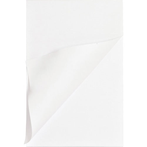 BUSINESS SOURCE Business Source BSN65902 Memo Pad 5x8 Inches 12 Pack