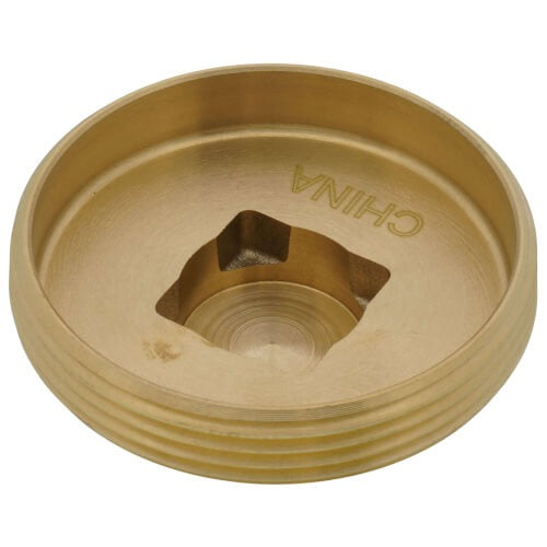 SIOUX CHIEF Sioux Chief 876-RS20 Raised Square Head Cleanout Plug (2 in)