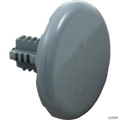 Waterway Plastics 672-2137 Low Profile Air Injector Cap, 1-3/4 inch Diameter, Gray