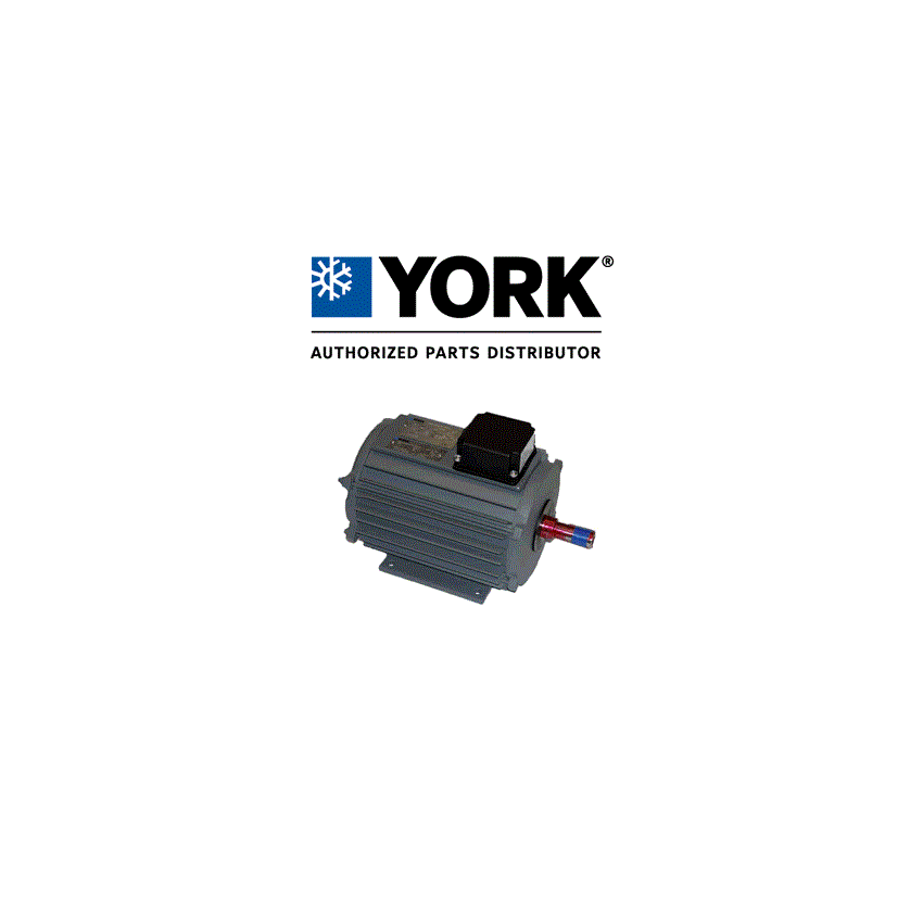 YORK 02430900003 BLOWER MOTORS