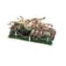 BERTAZZONI Z200367 CONTROL BOARDS