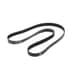 WHIRLPOOL WPW10388418 BELTS
