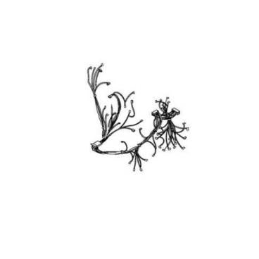 WHIRLPOOL W10718986 WIRING HARNESSES