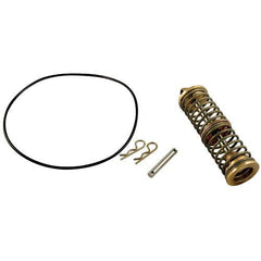FEBCO 905144 CONTROL & CIRCUIT BOARDS