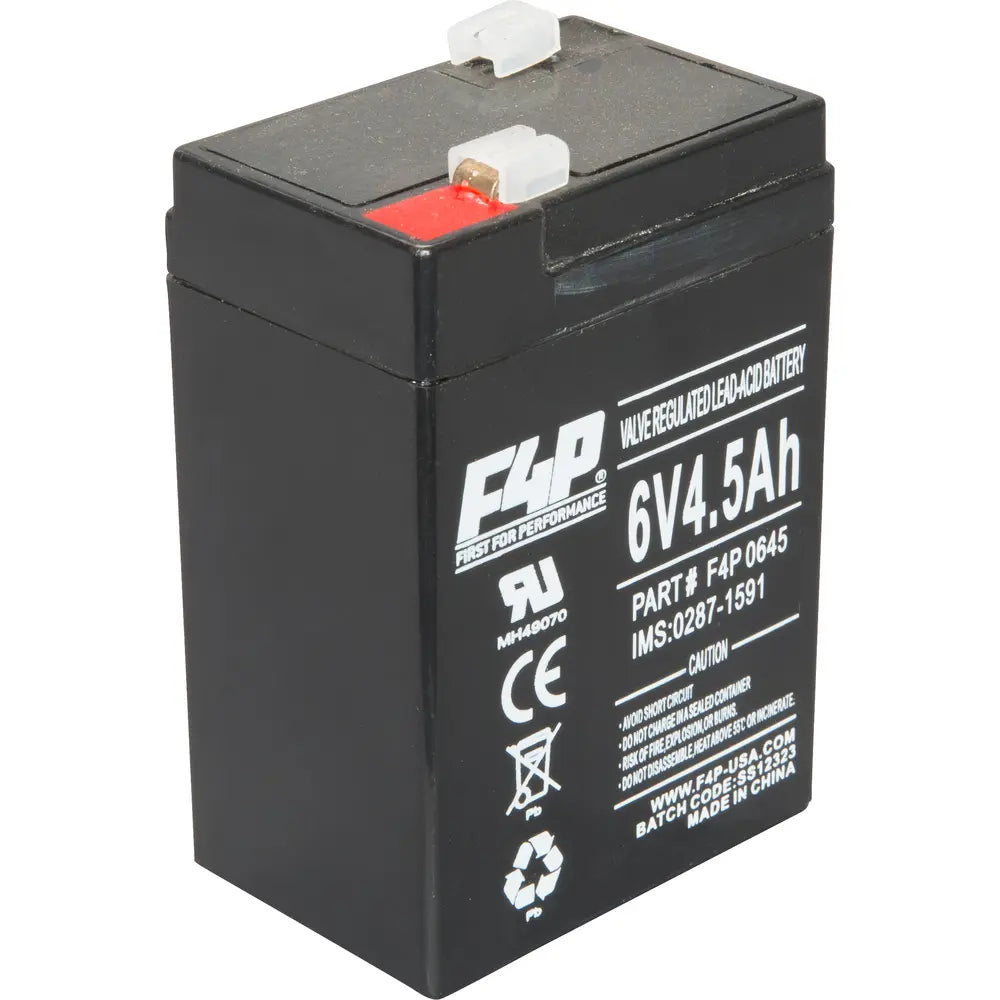 F4P F4P0645 BATTERIES