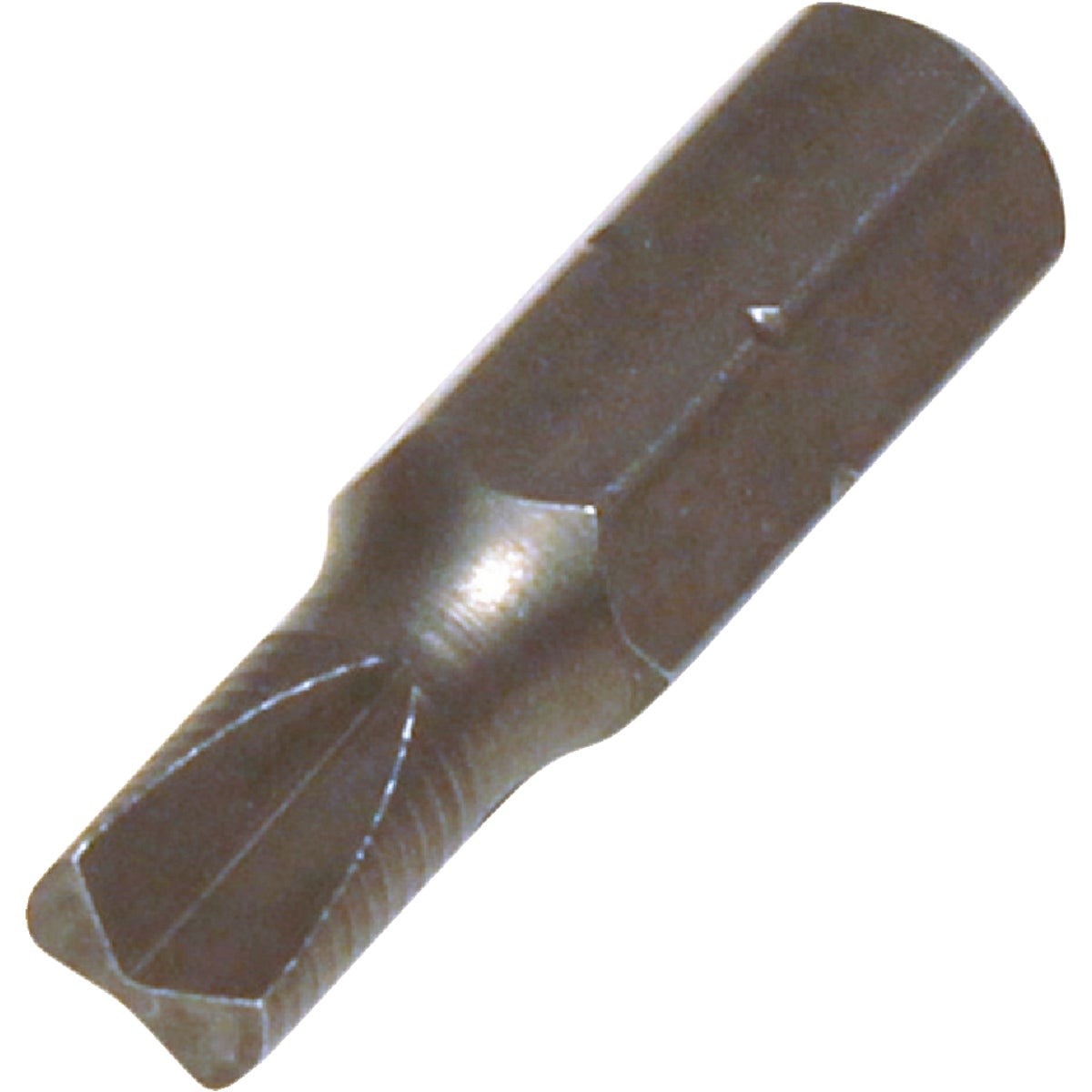 224583646.jpg