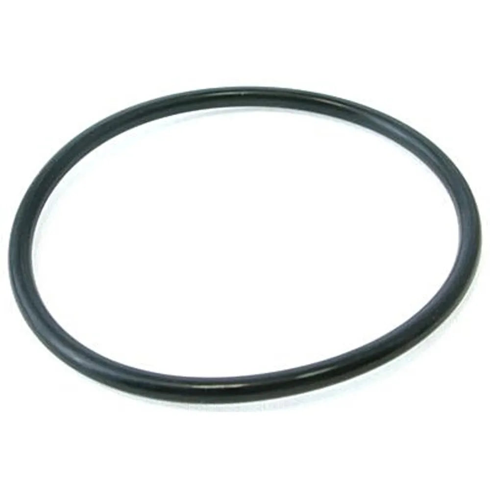 PENTAIR 154005Z POOL O-RINGS & GASKETS