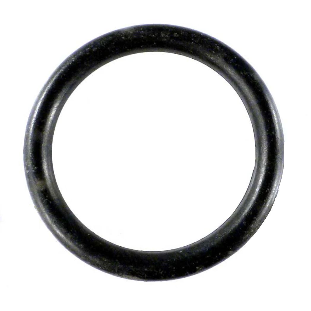 PENTAIR 192040 POOL O-RINGS & GASKETS