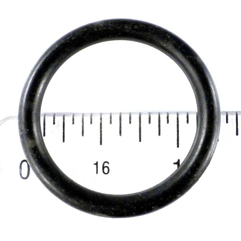 225194197.jpg