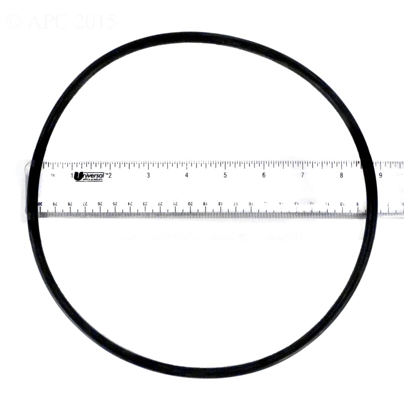 225194585.jpg
