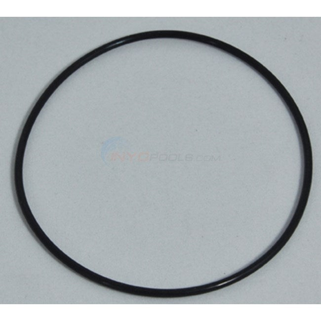 PENTAIR 275300Z O-RINGS & GASKETS