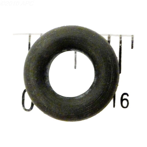 225198006.jpg